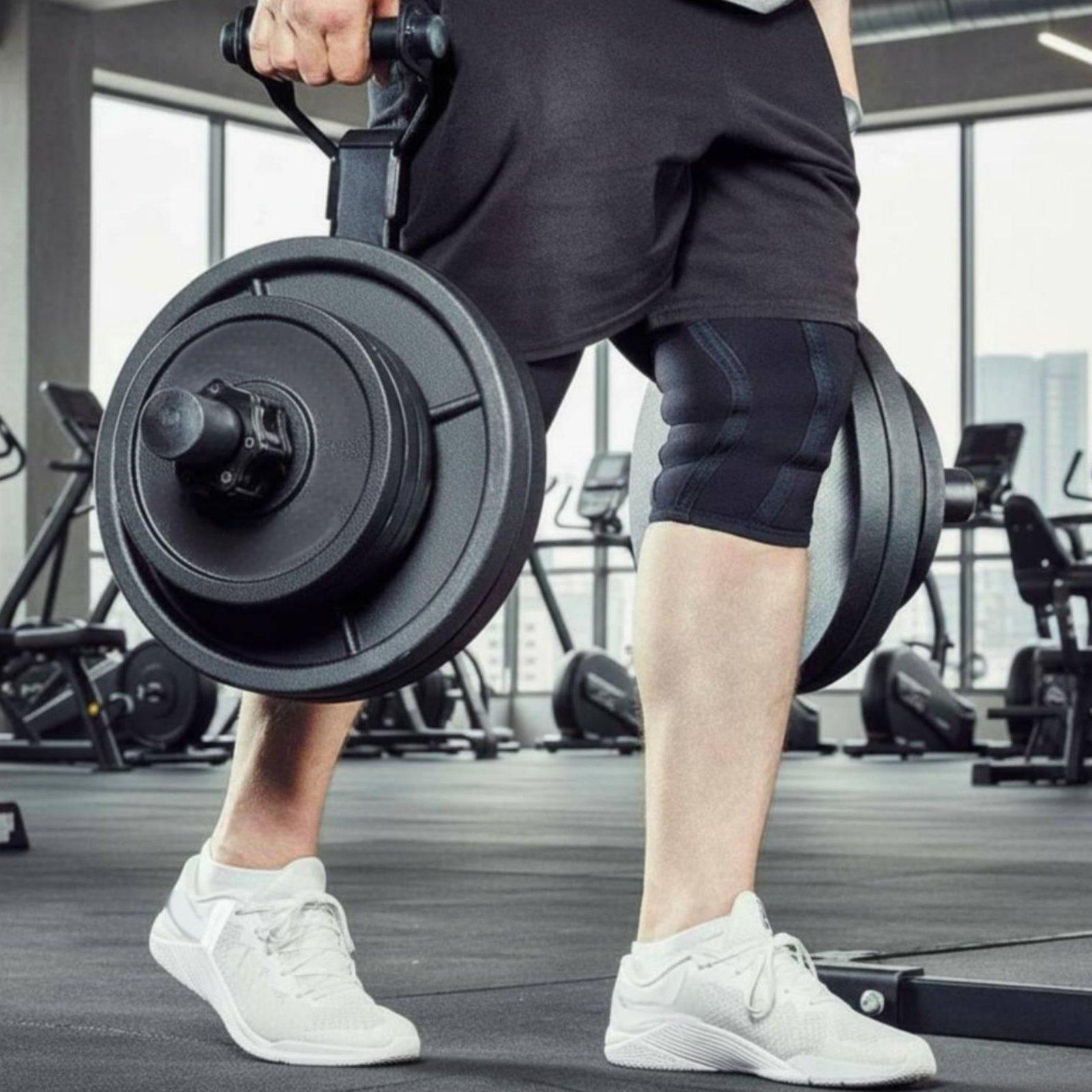 Multi-size Barbell Plate Holde - Home Gym Gym review and price