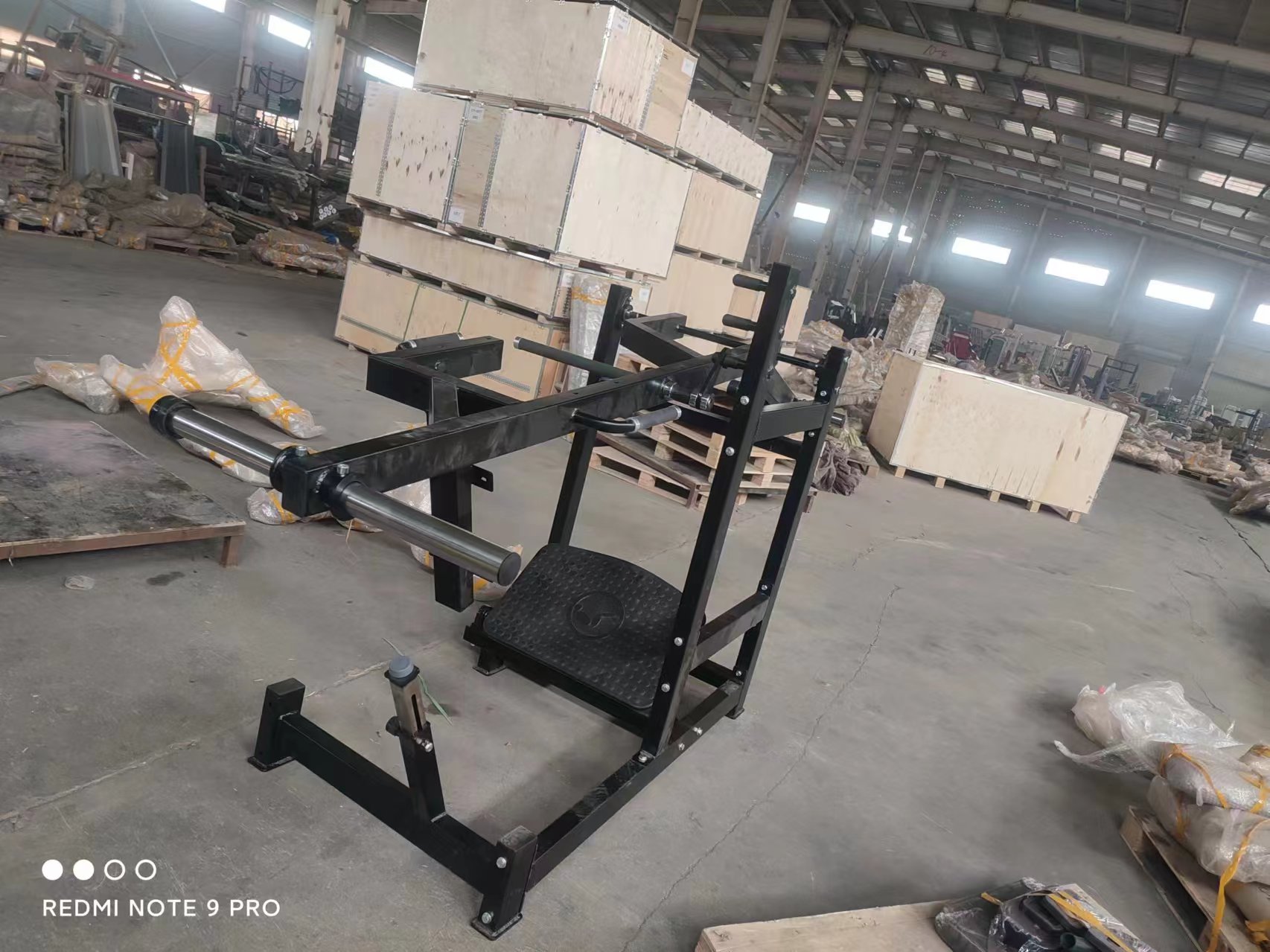Hot Sale Commercial Use Pendul - Leg Press Machine review and price