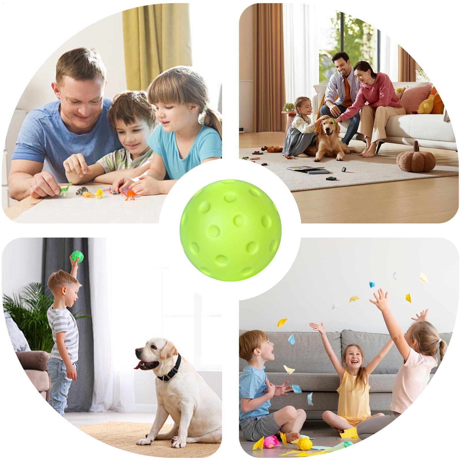 1PC Silent Pickleball Indoor E - Home Gym Practice review and price