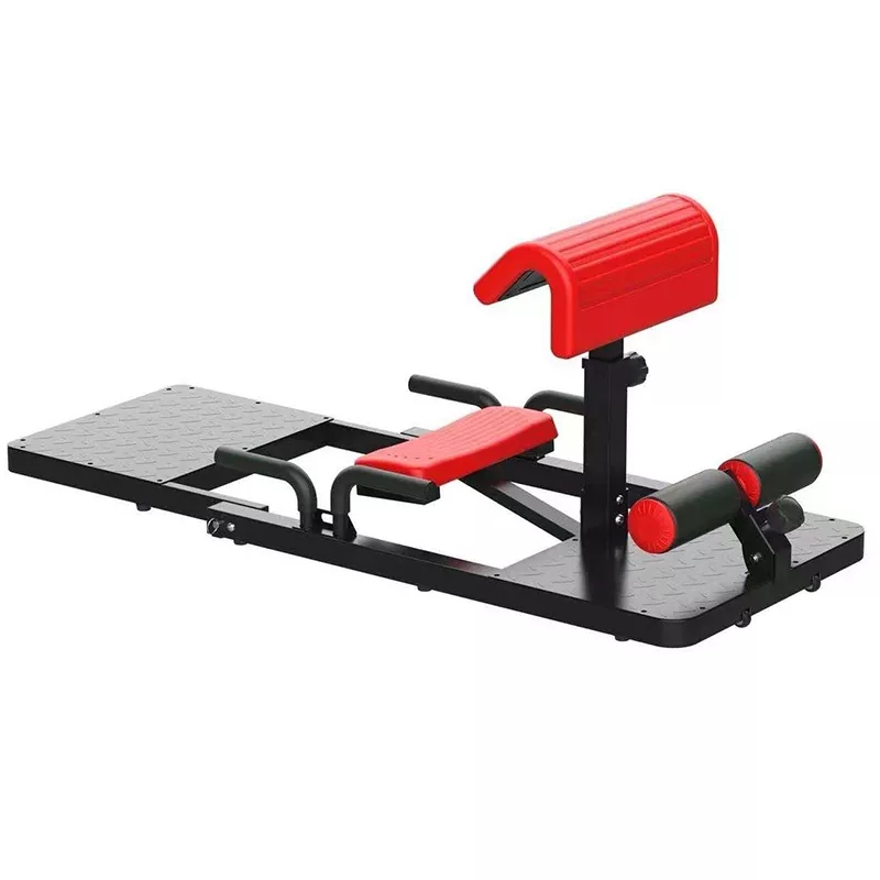 Sissy Squat Machine 3-in-1 Hom - Home Gym Quad Machine review and price