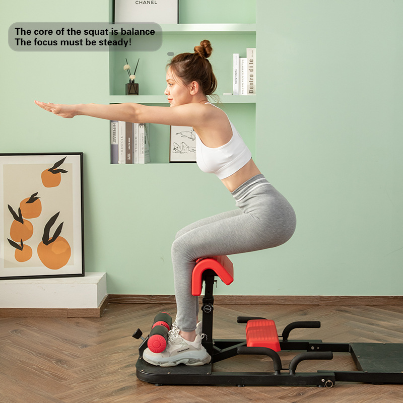 Sissy Squat Machine 3-in-1 Hom - Home Gym Quad Machine review and price