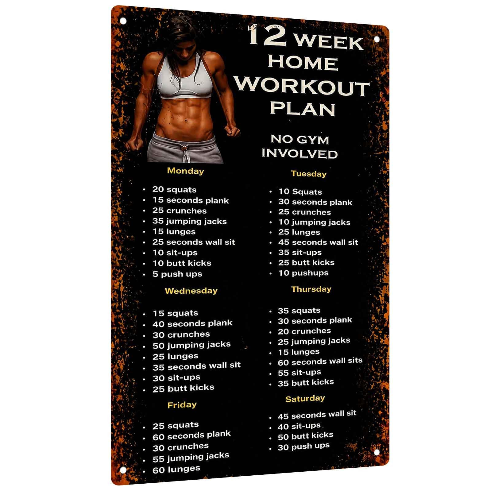 Aluminum Sign for 12-Week Home - Workout Plan Home Gym review and price